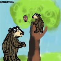 A Honeycomb Adventure Of A Baby Bear