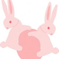 two rabbits clinched onto a ball