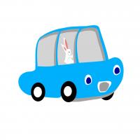 Bunny Race  Car