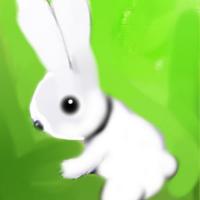 bunny image