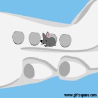 The Rat's Airplane Journey