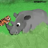 Tiger And the Rhino