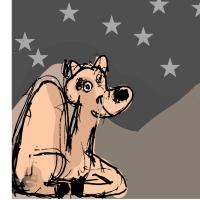 This Starry Night Makes Me Romantic