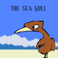 Life Story Of A Seagull