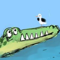 The Crocodile And The Seagull