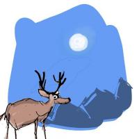 Deer And The Moon