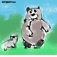 It's Fun Time For The Baby Cat