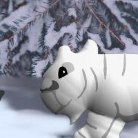 snow tiger walking