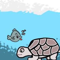 tortoise and the fish
