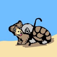Lion Cub And A Tortoise