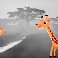 Two Giraffe On The Riverside
