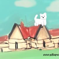 Dog standing on the rooftop