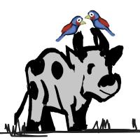 Dating Birds And The Cow