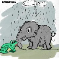 Soaked In The Rain Baby Elephant Enjoyed The Downpour