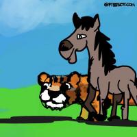 Horse And The Leopard Race