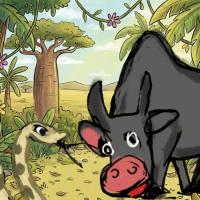 The Wild Buffalo and the Yellow Snake
