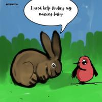 Search For The Missing Bunny