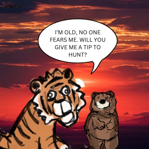 tiger and a bear cartoon