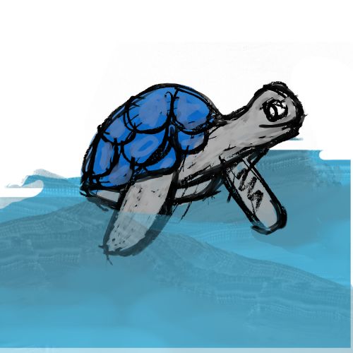 sea turtle swimming