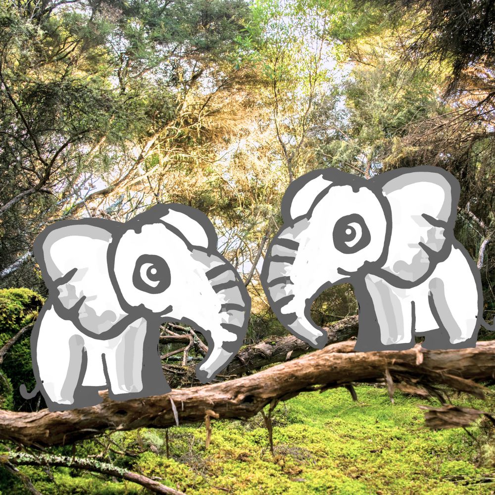 two elephants