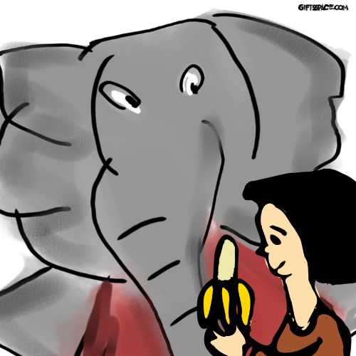 elephant and the girl