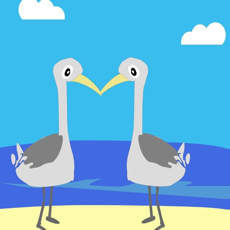 two crane birds on a seaside cartoon