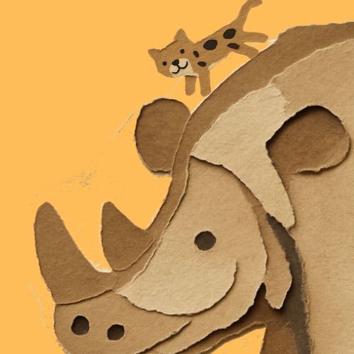 rhino and the cat