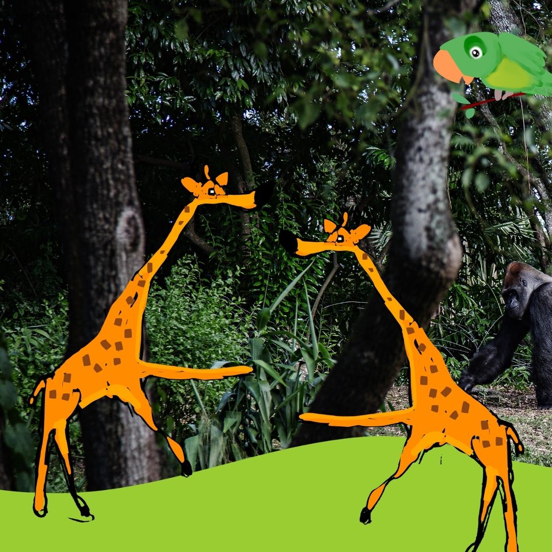 two giraffes dancing together