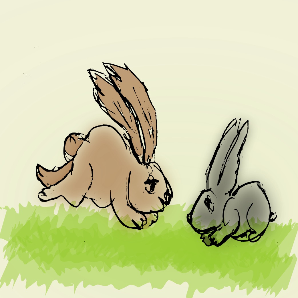 two rabbits meet together