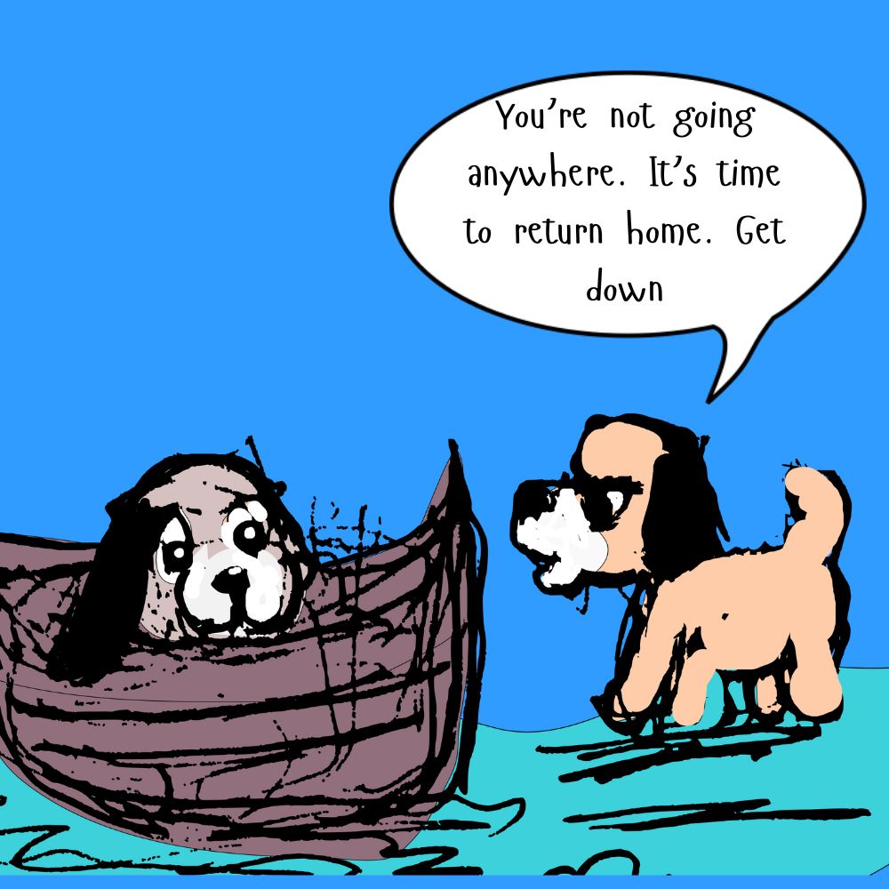 dog in a boat cartoon