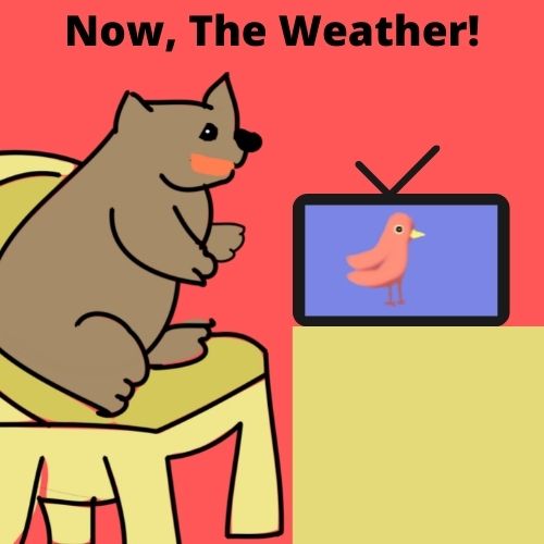 bear watching tv cartoon