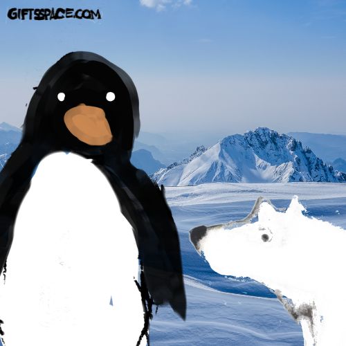 a penguin meets a polar bear