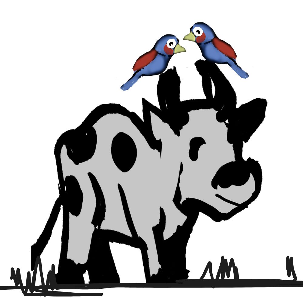 birds and the cow