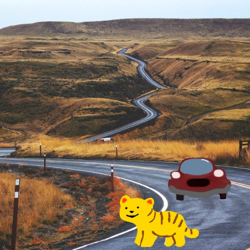 tiger cub and the car